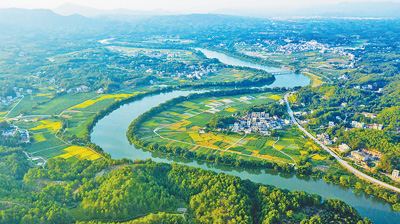 長汀 綠滿荒山寫傳奇