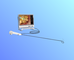 一次性使用電子輸尿管腎盂內(nèi)窺鏡導(dǎo)管